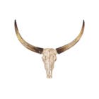 Lifestyle Bull Skull S