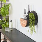 Reefs Interior Wandschap Half Moon Ø30cm met lade