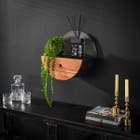 Reefs Interior Wandschap Half Moon Ø40cm met lade