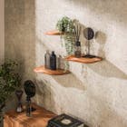 Reefs Interior Wandschap Set van 3 Ditton