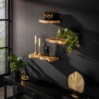 Reefs Interior Wandplank set Natural Line