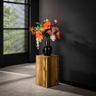 Reefs Interior Plantentafel Bole - 65cm
