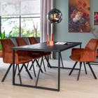 DP-Home Eetkamertafel Hugh 160x90 cm 