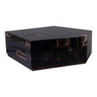 PTMD Salontafel Rayn Petrified Wood Black L
