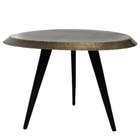 PTMD Salontafel Winth - Small