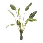By-Boo Kunstplant Strelitzia - Medium