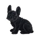 Richmond Dog Miro - Zwart