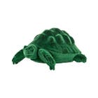 Richmond Schildpad Pokey - Green 