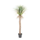 By-Boo Kunstplant Yucca boom - Medium