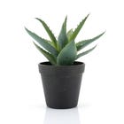 By-Boo Kunstplant Agave - Small