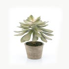 By-Boo Kunstplant Succulent Echeveria