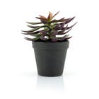 By-Boo Kunstplant Succulent - 1