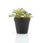 By-Boo Kunstplant Succulent - 2
