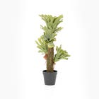 By-Boo Kunstplant Fern op stam 