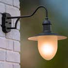 Lucide ARUBA - Wandlamp Buiten - Ø 25 cm - 1xE27 - IP44 - Zwart